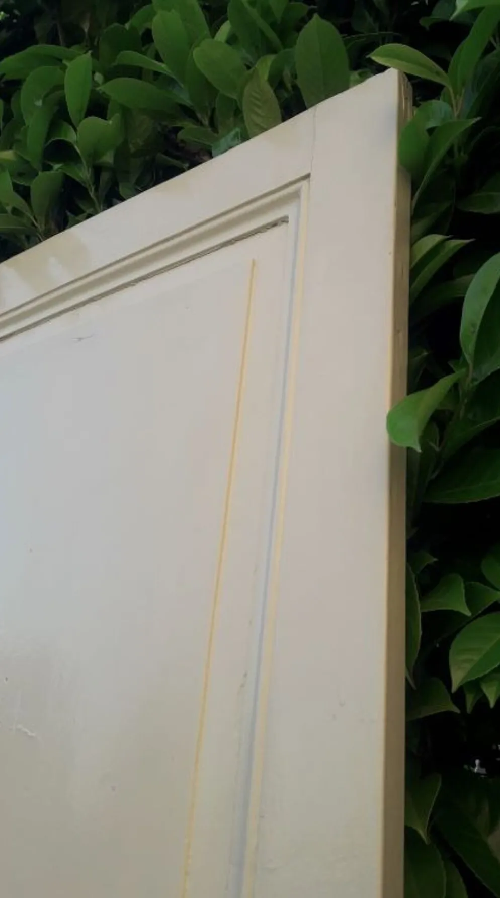 Porte 229,2x79,2cm de placard ancienne