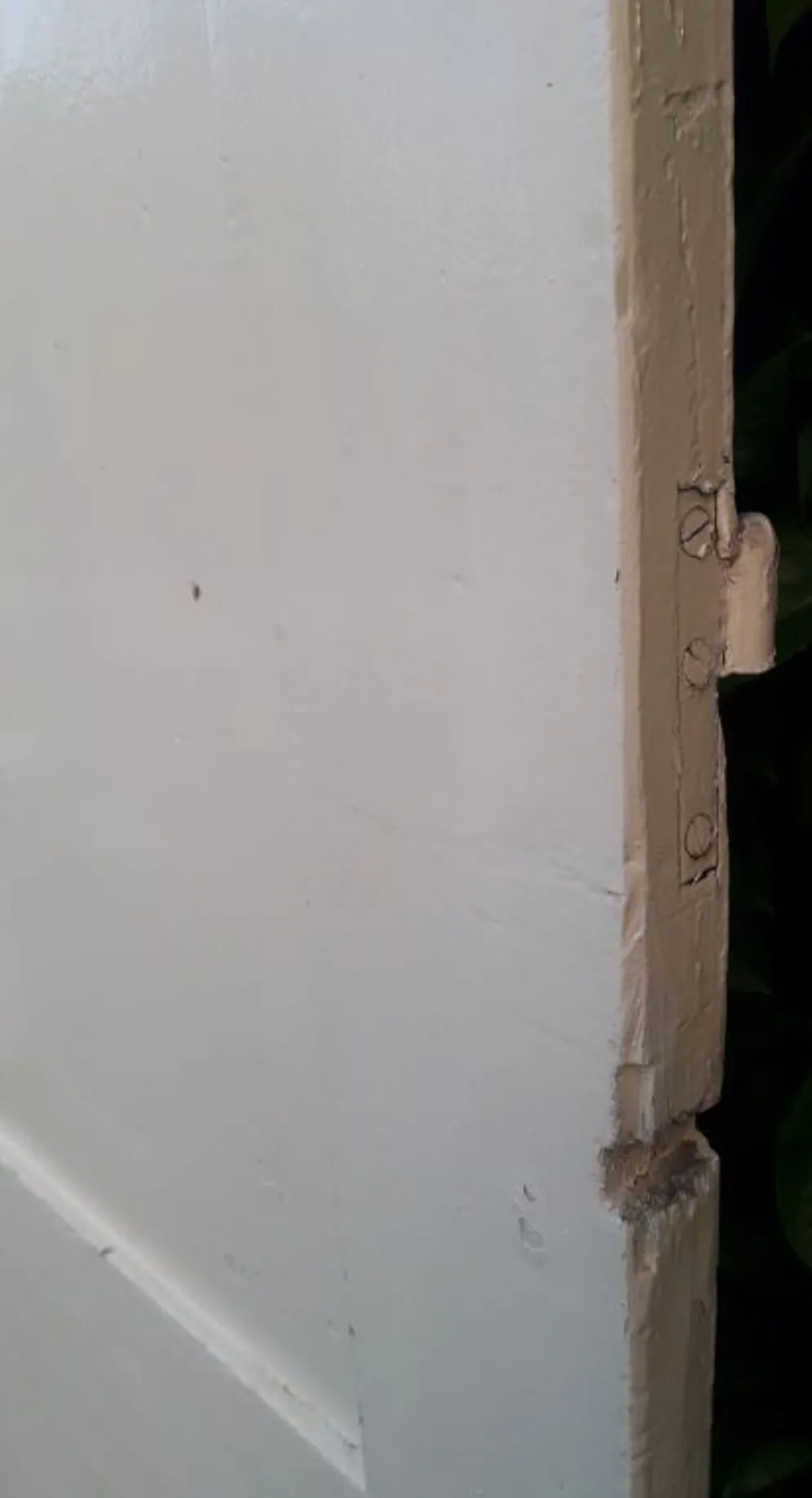 Porte 229,2x79,2cm de placard ancienne