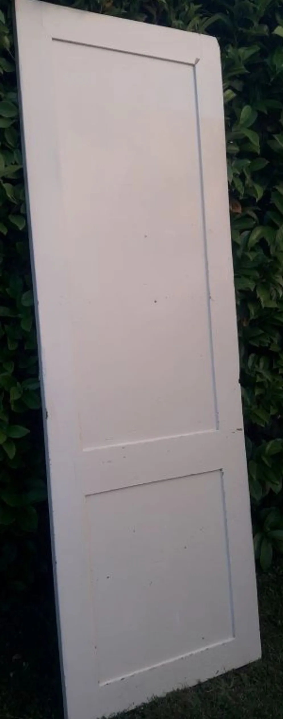 Porte 229,2x79,2cm de placard ancienne