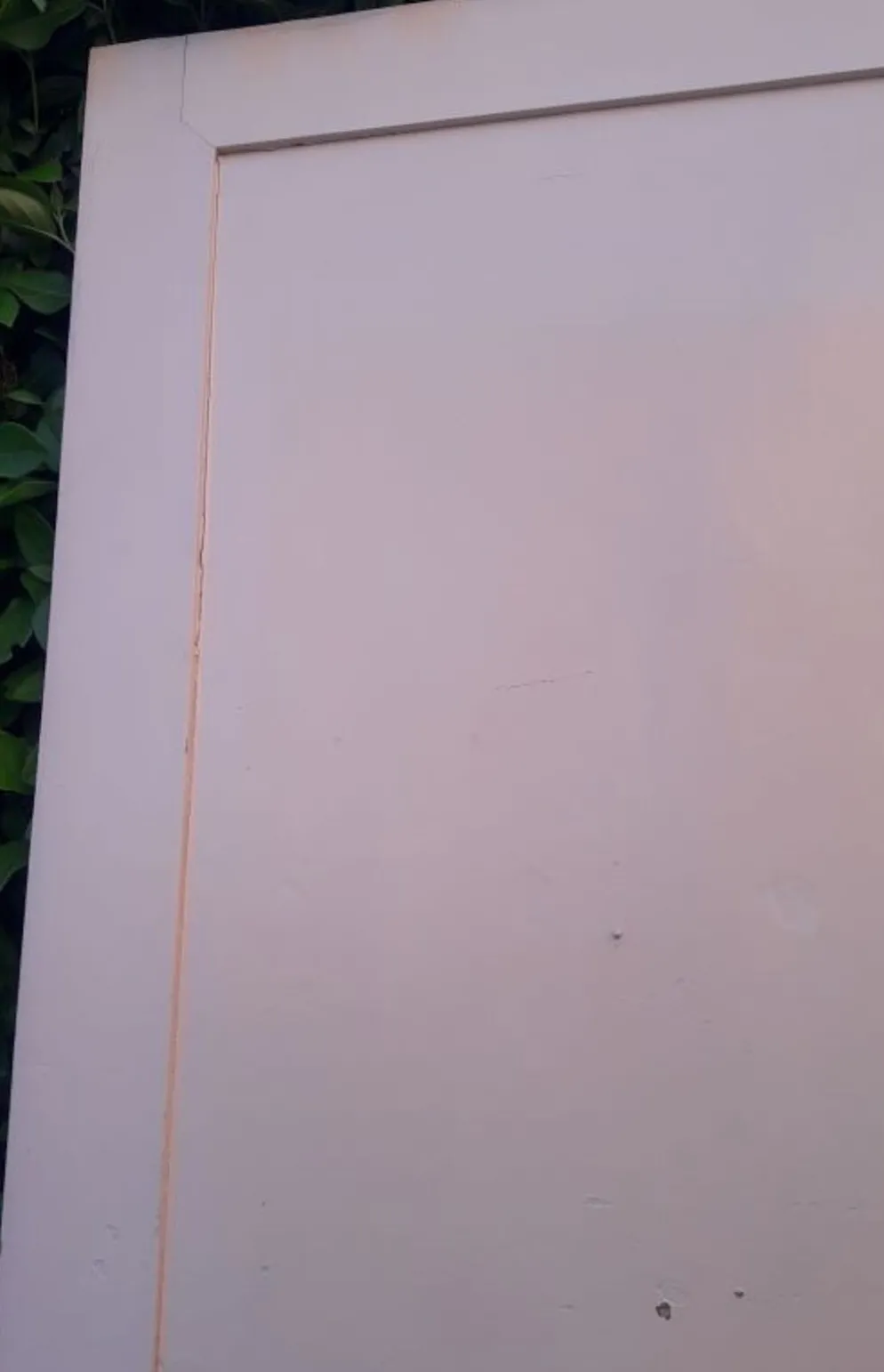Porte 229,2x79,2cm de placard ancienne