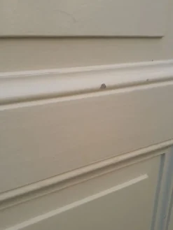 Porte 229,2x79,2cm de placard ancienne