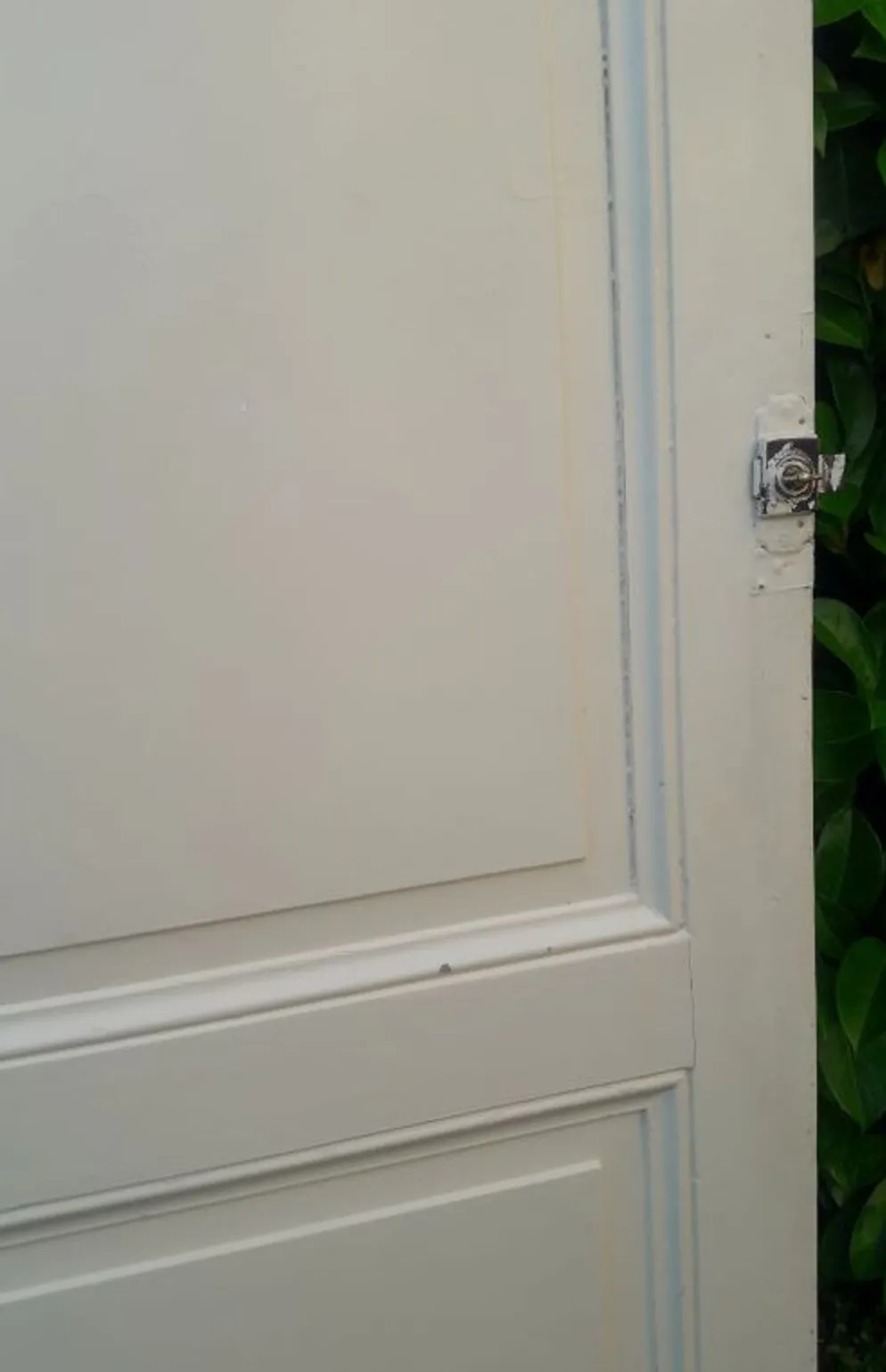 Porte 229,2x79,2cm de placard ancienne