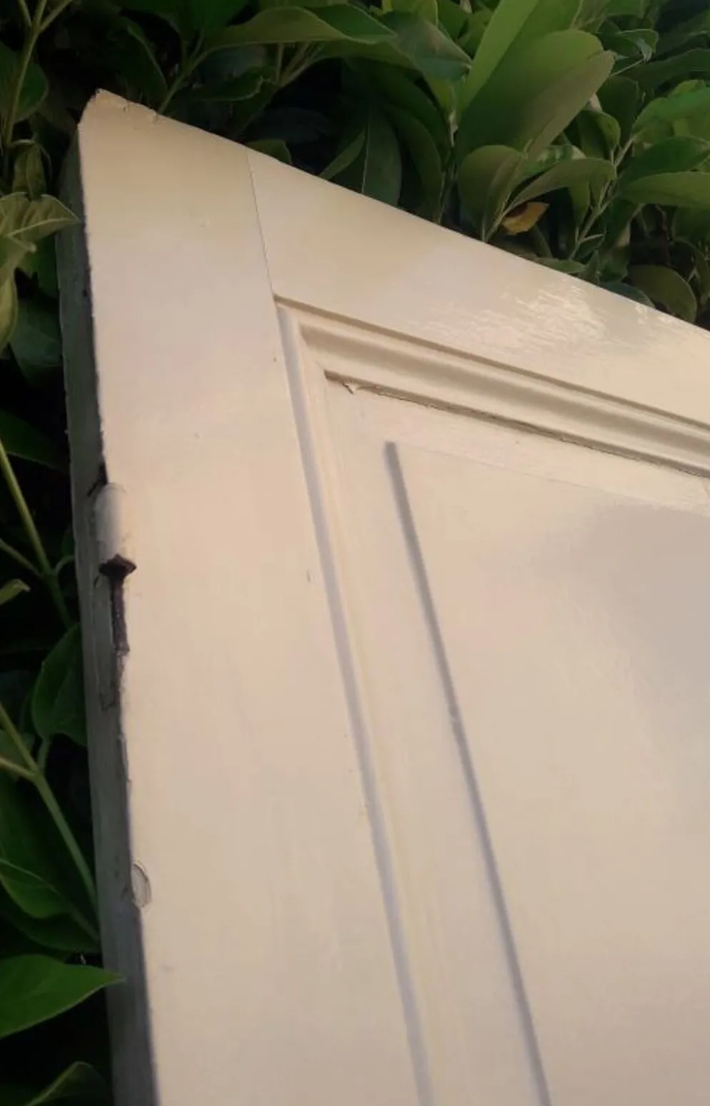 Porte 229,2x79,2cm de placard ancienne