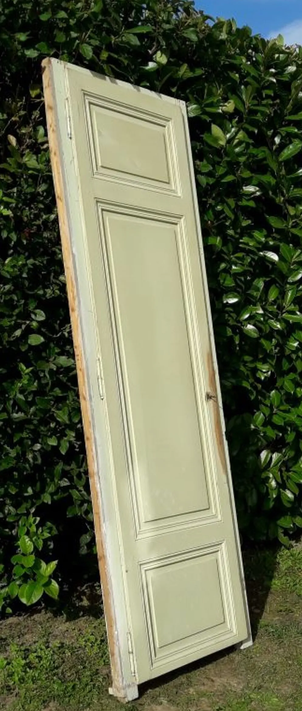 Porte 67.2x237.2cm de placard et son cadre
