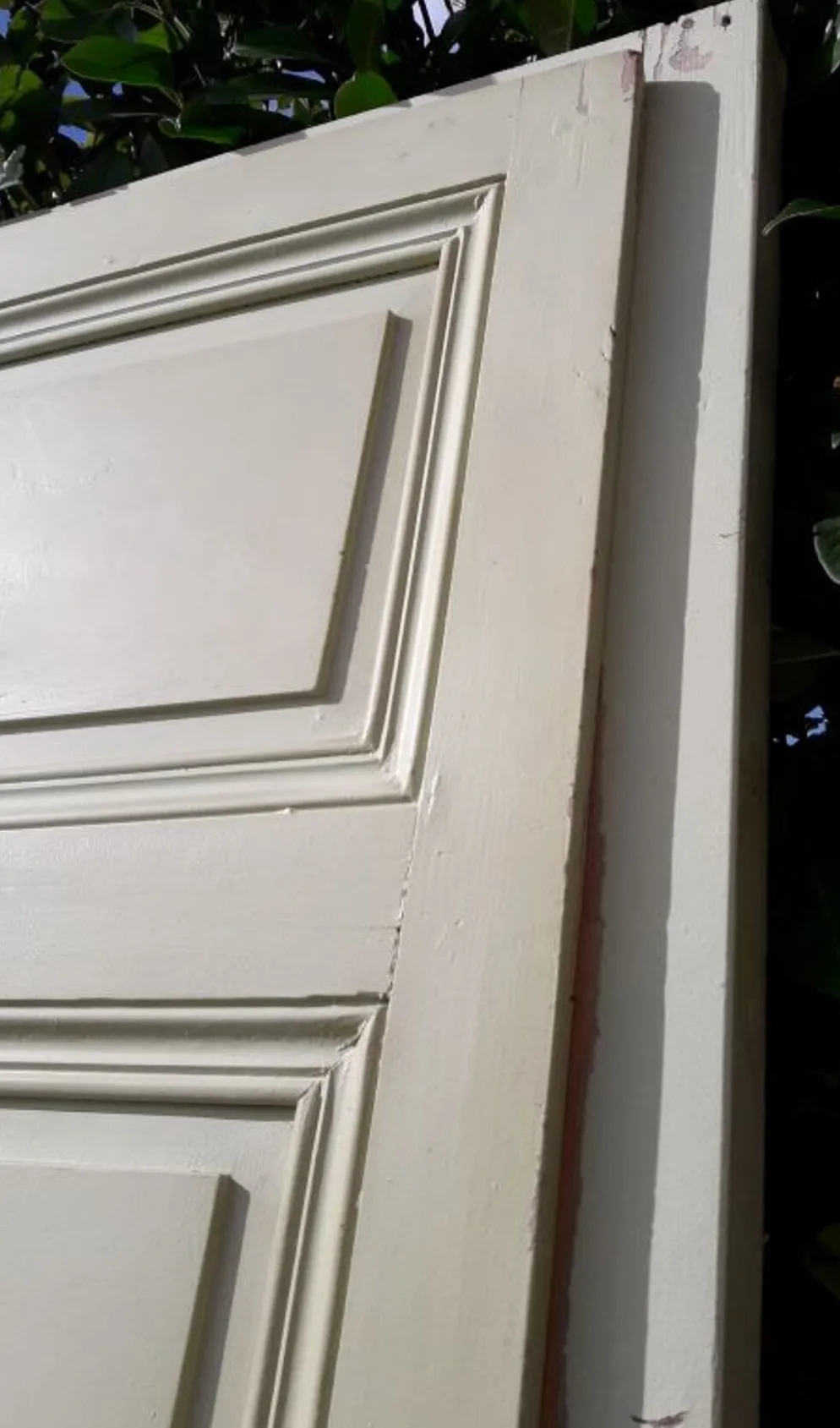 Porte 67.2x237.2cm de placard et son cadre