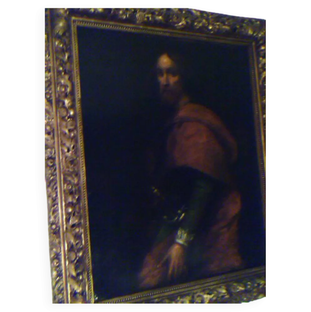 Portrait historique de François de Beaumont dit le baron des Adrets