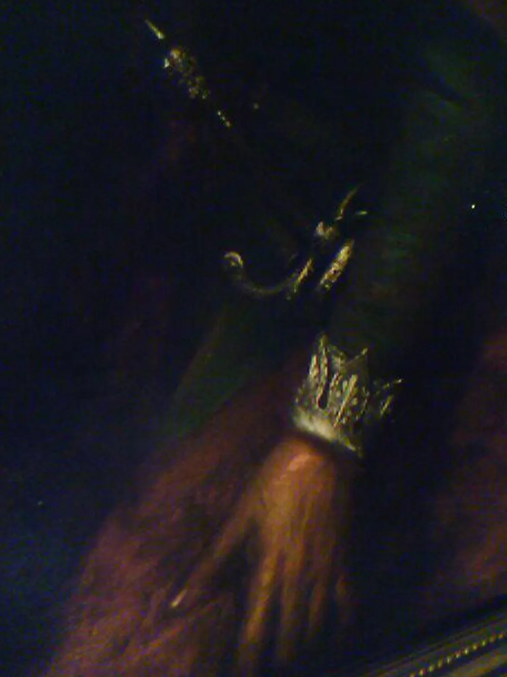 Portrait historique de François de Beaumont dit le baron des Adrets