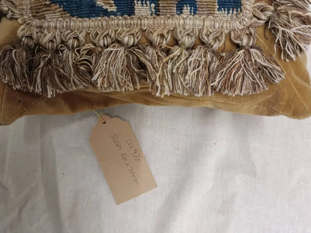 Rare coussin en tapisserie d'Aubusson français du 17ème siècle avec design figuratif et franges.
