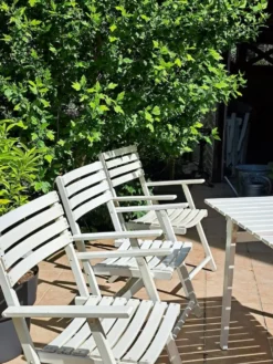 Salon de jardin bois blanc vintage