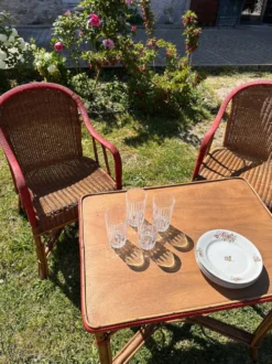 Salon de jardin en rotin vintage