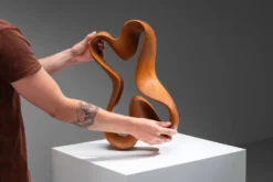 Sculpture abstraite avec des courbes organiques fluides.