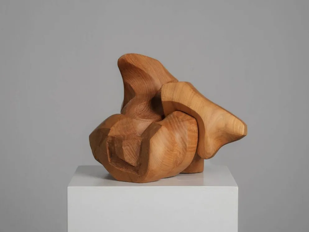 Sculpture abstraite organique en bois par Joop van Bergen, Pays-Bas, années 1980.