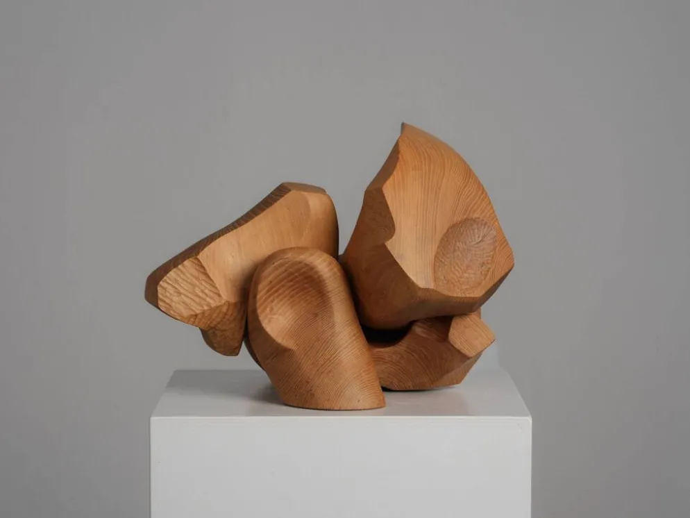 Sculpture abstraite organique en bois par Joop van Bergen, Pays-Bas, années 1980.