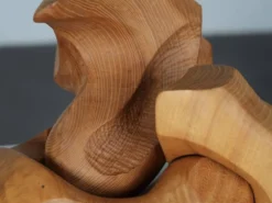 Sculpture abstraite organique en bois par Joop van Bergen, Pays-Bas, années 1980.