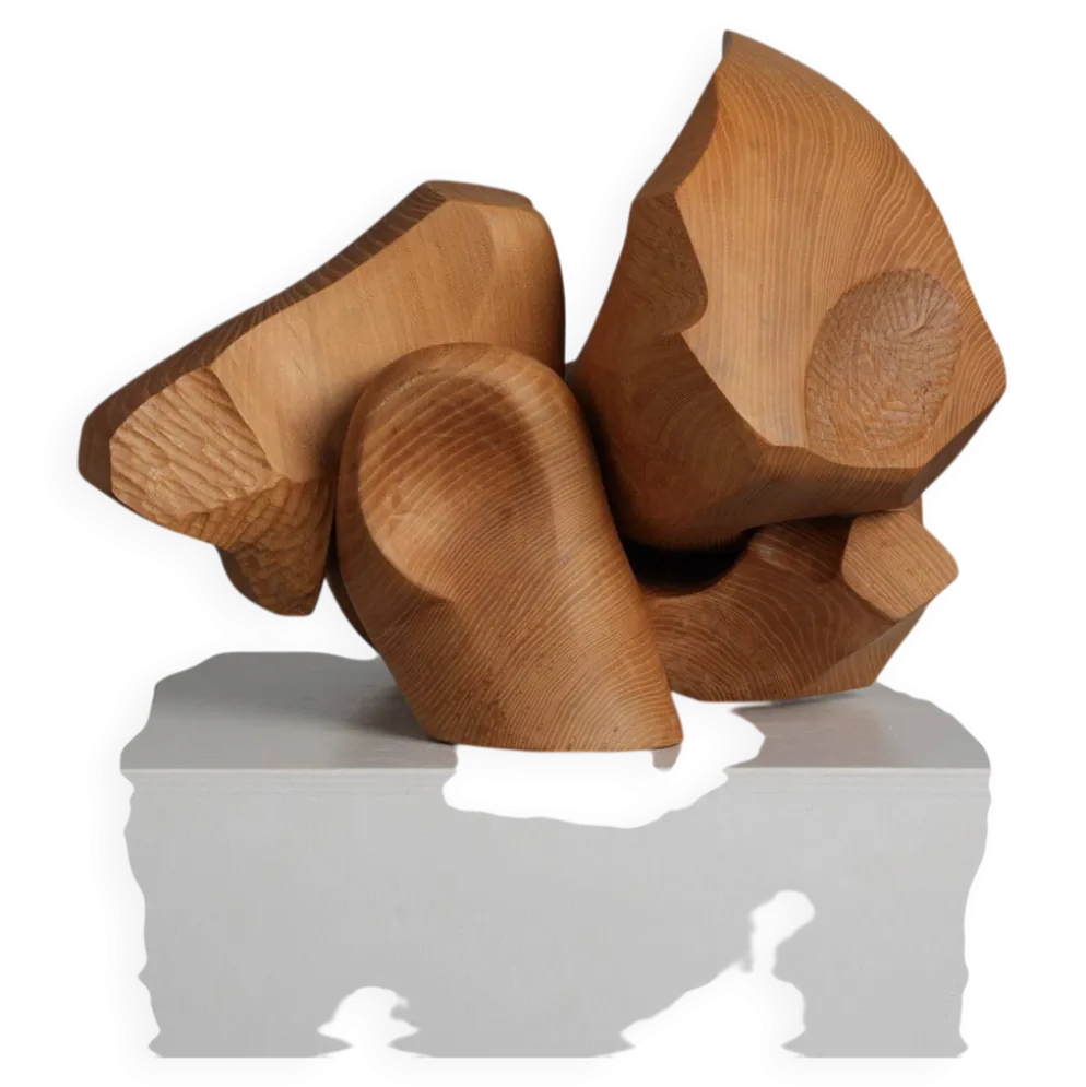 Sculpture abstraite organique en bois par Joop van Bergen, Pays-Bas, années 1980.