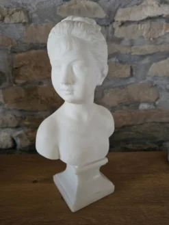 Sculpture buste de Louise Brongniart en marbre d'après Jean-Antoine Houdon