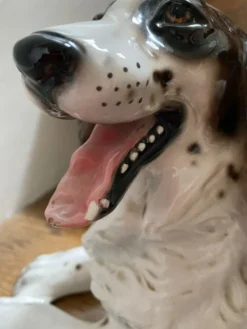 Sculpture chien Springer
