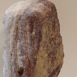 Sculpture de tête en pierre taillée