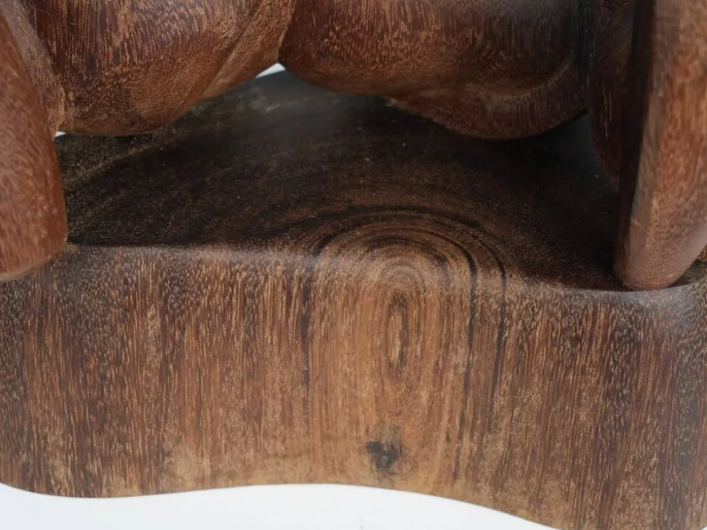 Sculpture en bois floral organique, Pays-Bas, années 1970
