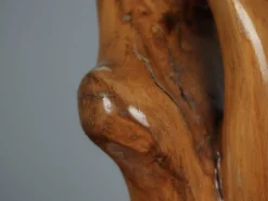 Sculpture en bois organique par H. Hinfelaar, Pays-Bas, années 1980.
