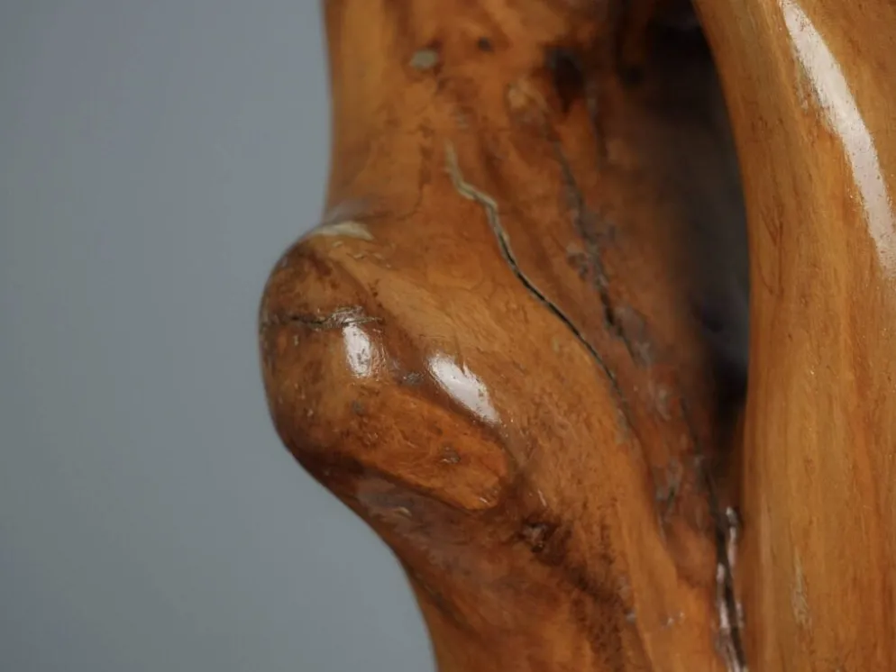 Sculpture en bois organique par H. Hinfelaar, Pays-Bas, années 1980.