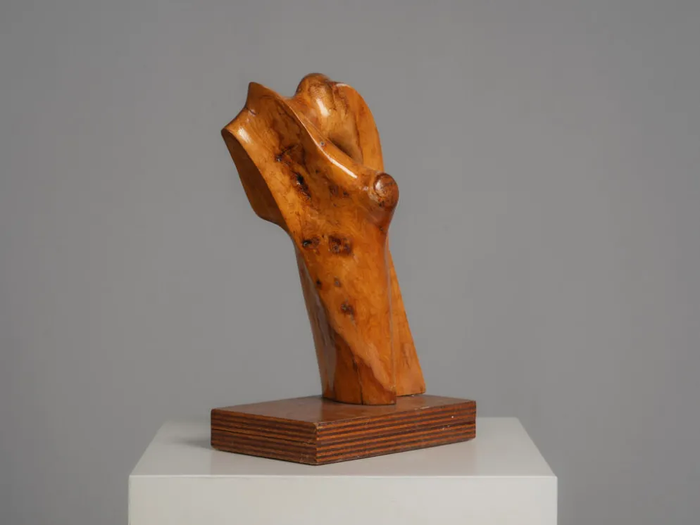 Sculpture en bois organique par H. Hinfelaar, Pays-Bas, années 1980.