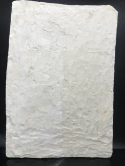 Sculpture en plâtre