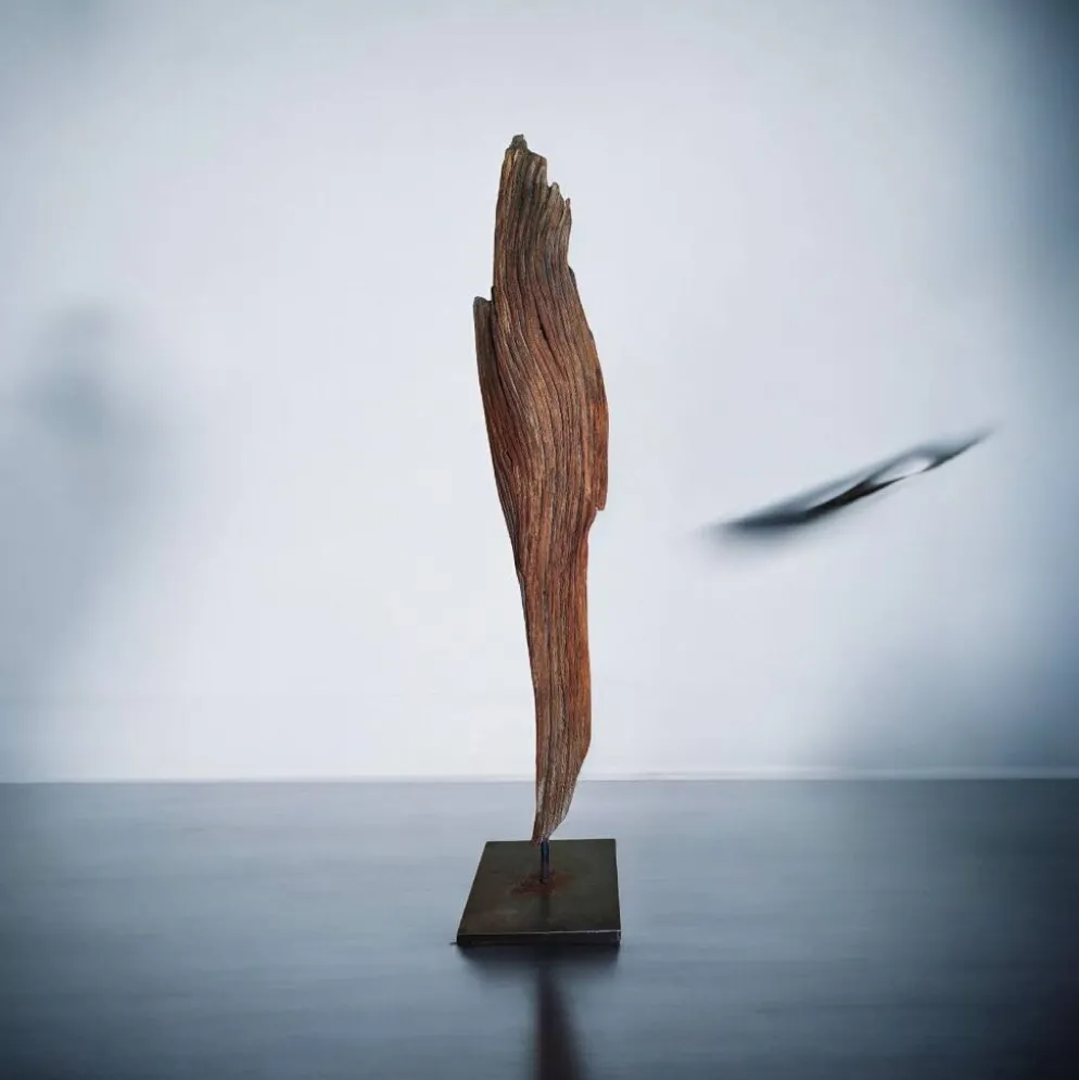 Sculpture "fragment d'écorce"