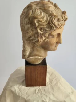 Sculpture, Grande tête creuse d'Apollon, vers 1890, sur socle en bois