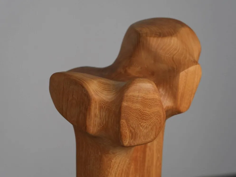 Sculpture moderniste biomorphique en bois sculpté, Pays-Bas, années 1970