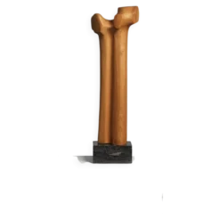 Sculpture moderniste biomorphique en bois sculpté, Pays-Bas, années 1970