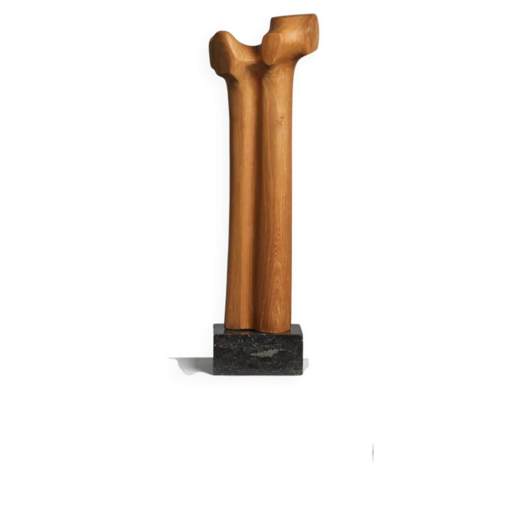 Sculpture moderniste biomorphique en bois sculpté, Pays-Bas, années 1970