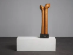 Sculpture moderniste biomorphique en bois sculpté, Pays-Bas, années 1970