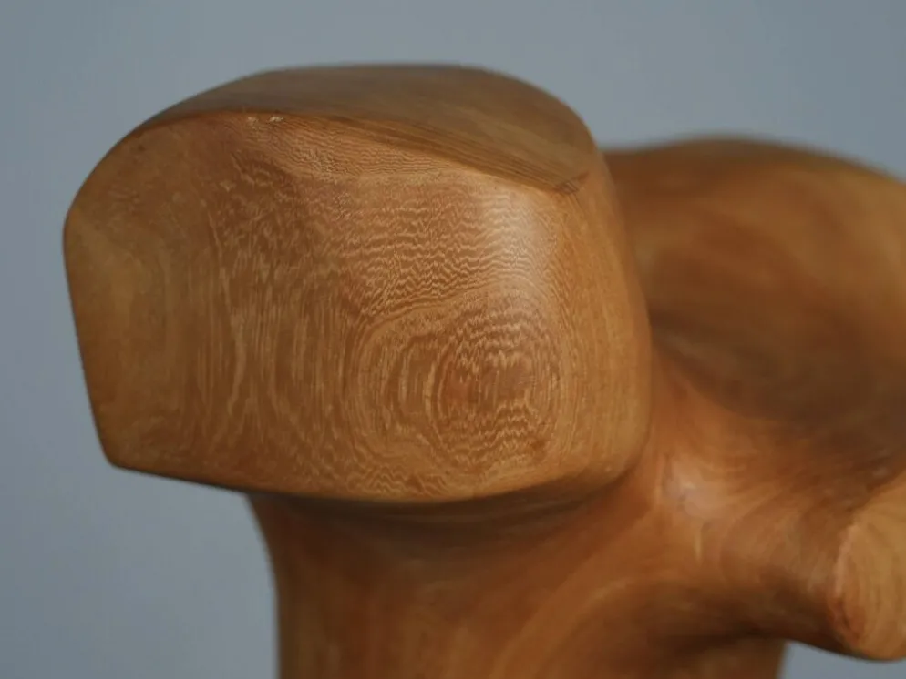 Sculpture moderniste biomorphique en bois sculpté, Pays-Bas, années 1970