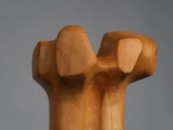 Sculpture moderniste biomorphique en bois sculpté, Pays-Bas, années 1970