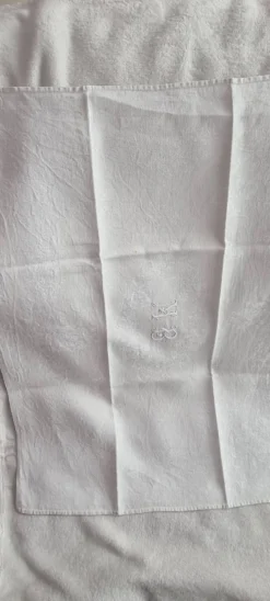 11 serviettes de table