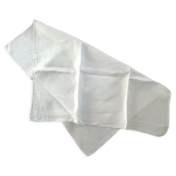 2 serviettes de table monogramme H