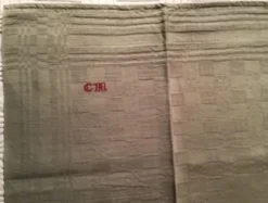4 serviettes de table vert amande en coton