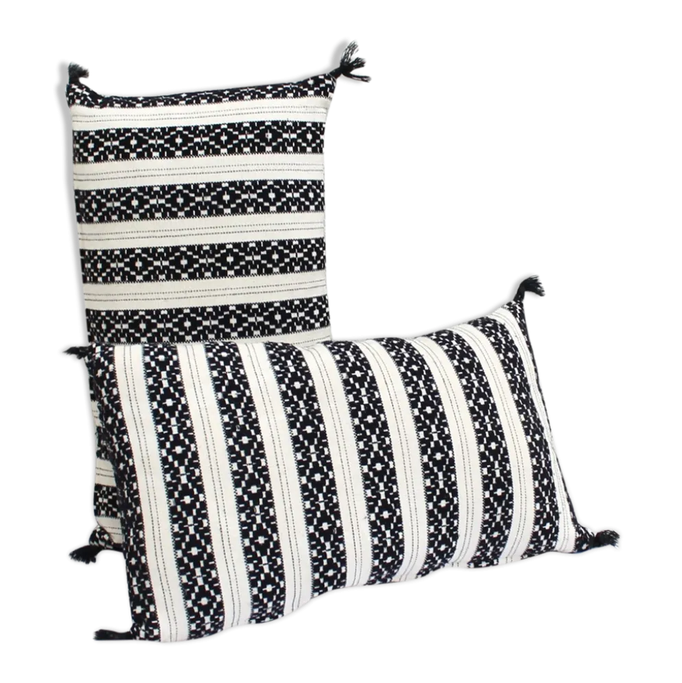 Set de 2 coussins rectangle