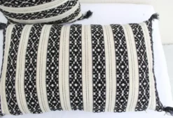 Set de 2 coussins rectangle