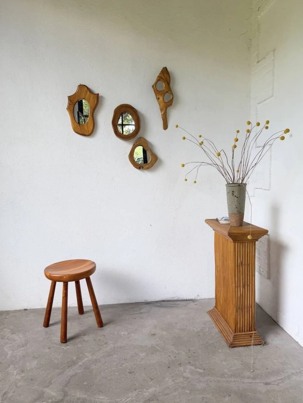 Set de 4 miroirs organiques brutalistes en bois années 50