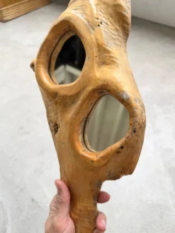 Set de 4 miroirs organiques brutalistes en bois années 50