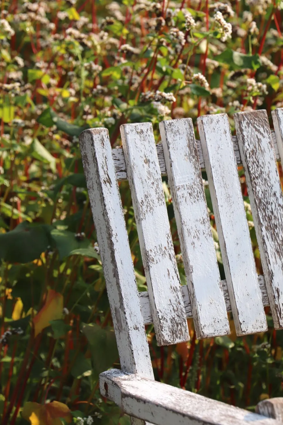 Série de 4 fauteuils de jardin pliants en bois latté – Design 1940
