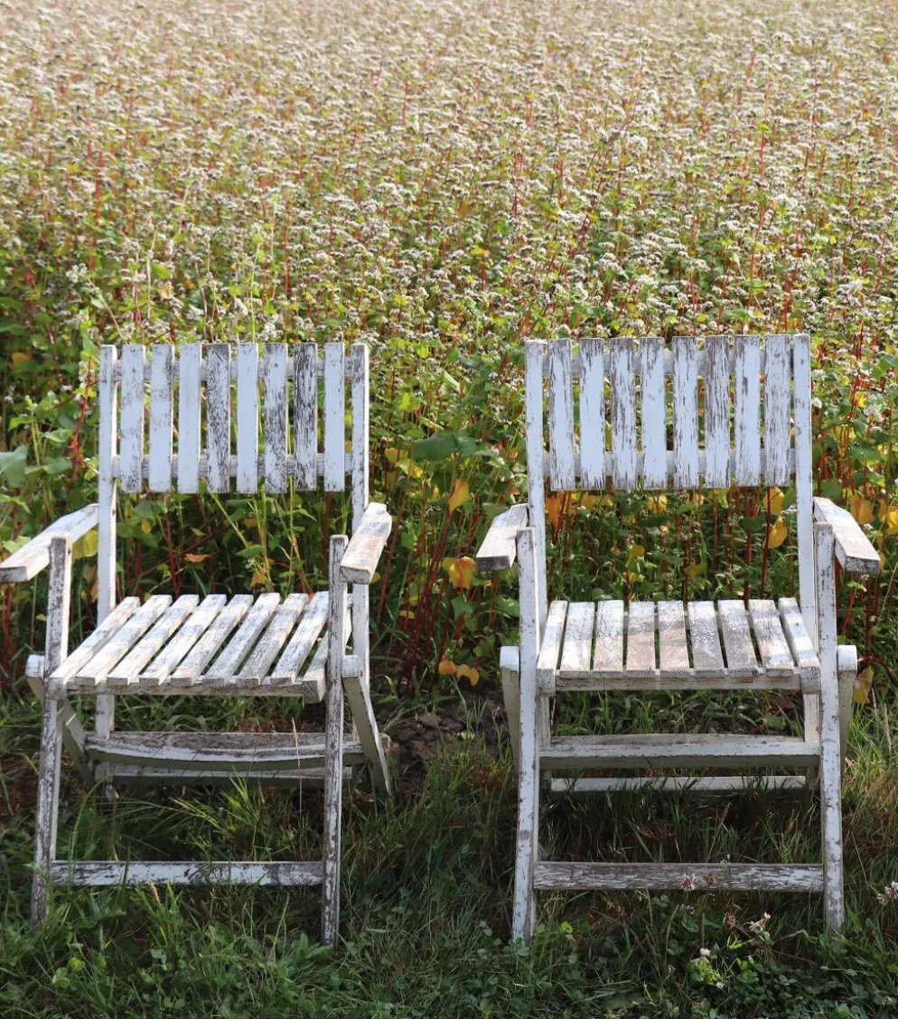 Série de 4 fauteuils de jardin pliants en bois latté – Design 1940
