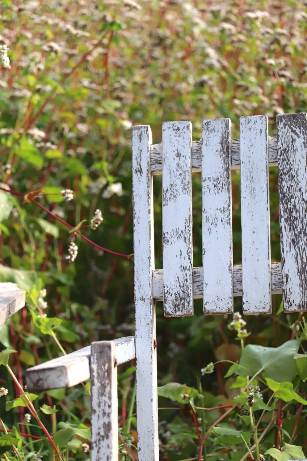 Série de 4 fauteuils de jardin pliants en bois latté – Design 1940