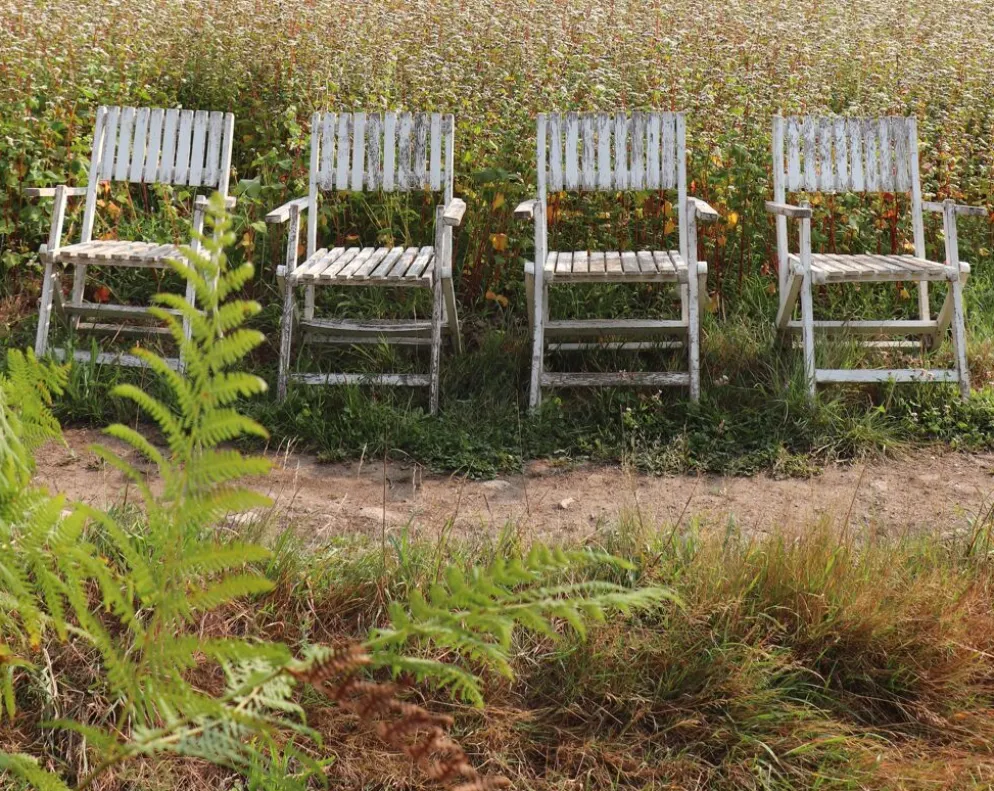 Série de 4 fauteuils de jardin pliants en bois latté – Design 1940