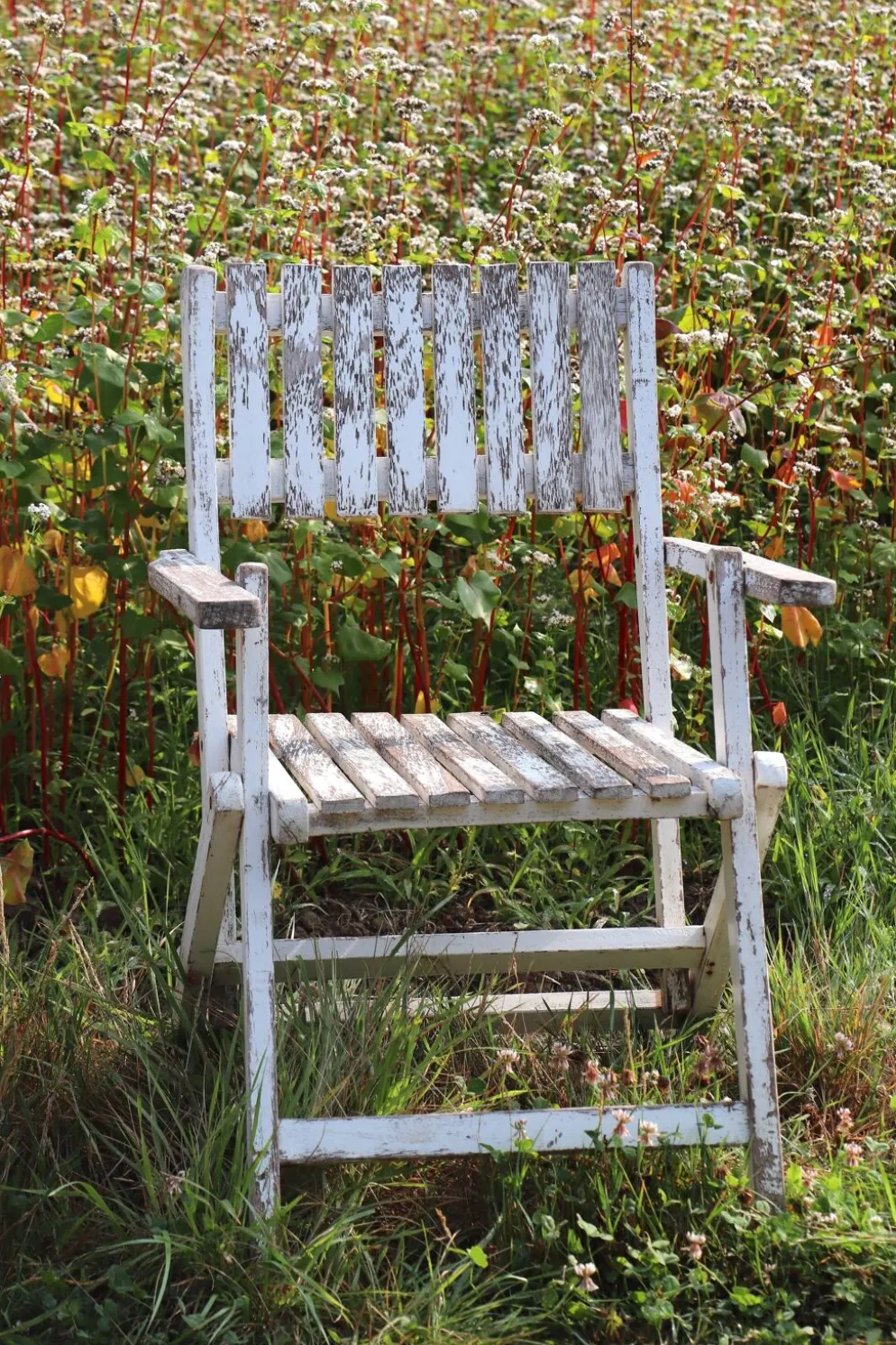 Série de 4 fauteuils de jardin pliants en bois latté – Design 1940