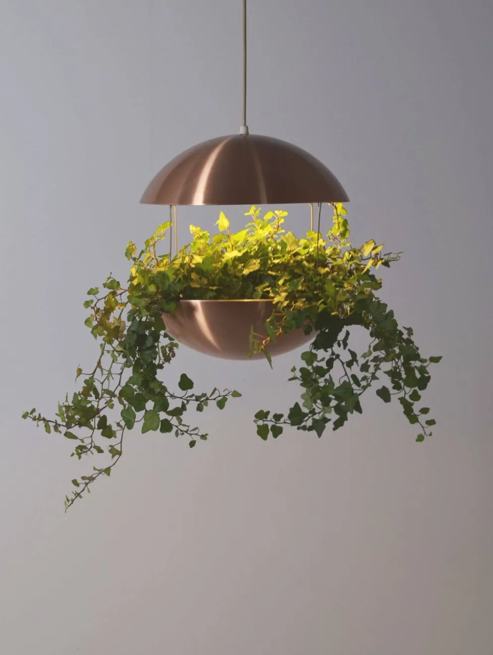 Support de plante danois avec éclairage par Poul Cadovius pour Hans Følsgaard, années 60.