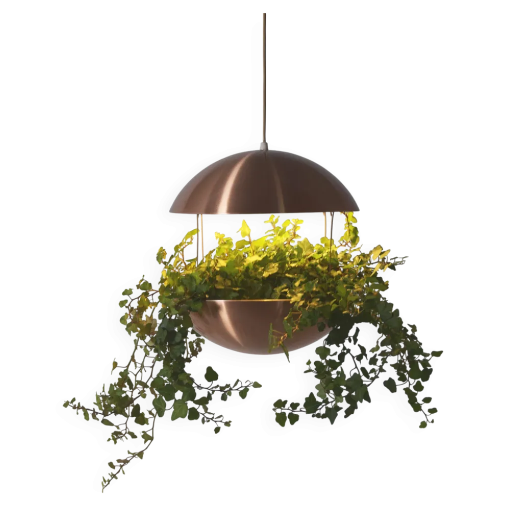 Support de plante danois avec éclairage par Poul Cadovius pour Hans Følsgaard, années 60.