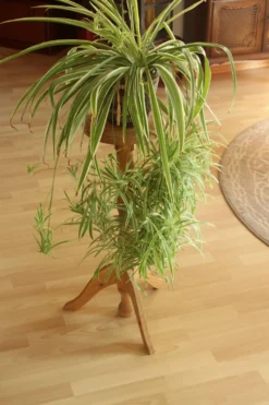 Support à plantes haut en bois - fabriqué à la main dans les années 80 - Vintage